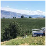 Agricultural Irrigation Industry